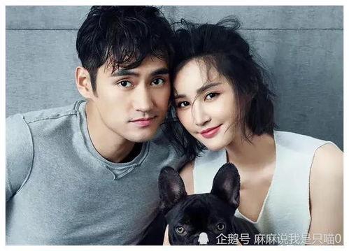 娱乐圈吃瓜爆料最准的是谁,揭秘最准吃瓜达人